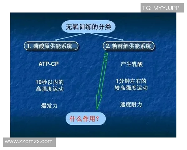 重庆羽毛球队整体压制打法深度分析与战术解读
